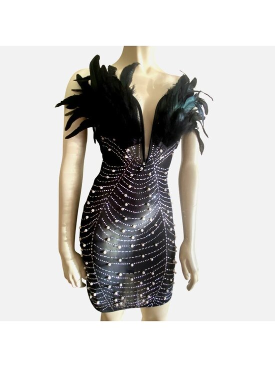 unbranded Dresses & Skirts - size S beaded thin bodycon black sheer mini dress feather chest detail c-thru